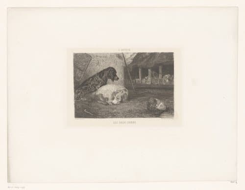 Twee honden op een koer by Alexandre-Gabriel Decamps