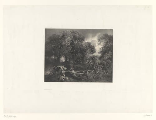 Landschappen door A. Calame by Alexandre Calame