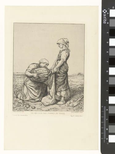 Twee vrouwen oogsten aardappelen op akker by Félix Bracquemond