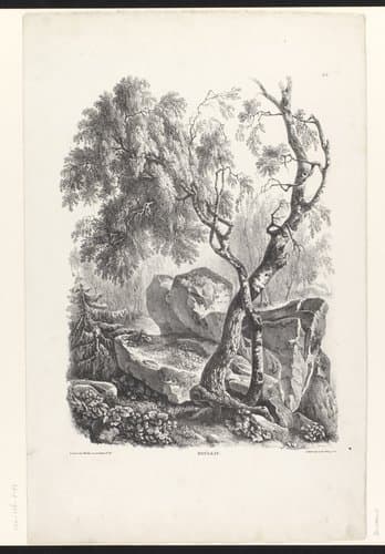 Berkenboom in een boslandschap by Henri Boisseau