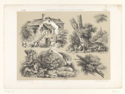 Landschapsstudies II