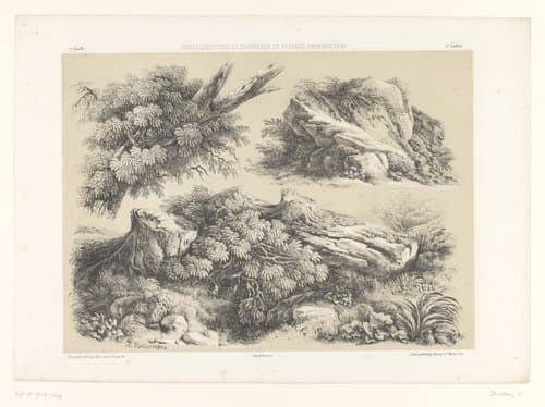 Drie studies van landschapselementen
