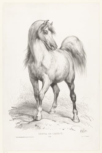 Optocht van dieren by Victor Adam