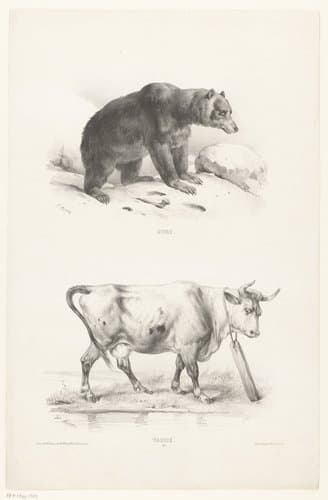 Ours by Victor Adam