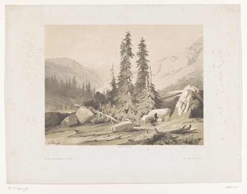 Berglandschap met sparren en berggeiten by Alexandre Calame