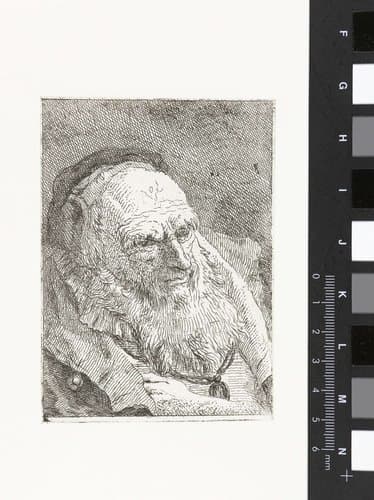 Raccolta di Teste by Giovanni Domenico Tiepolo