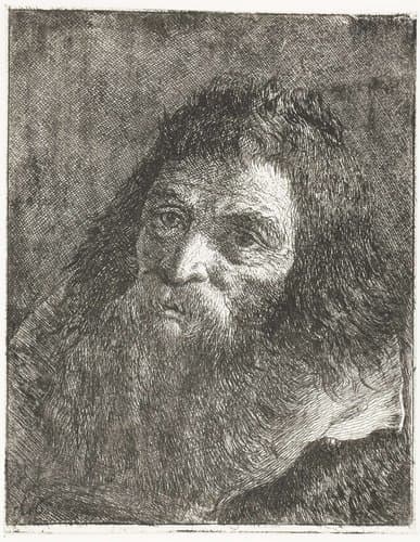 Verzameling hoofden by Giovanni Domenico Tiepolo