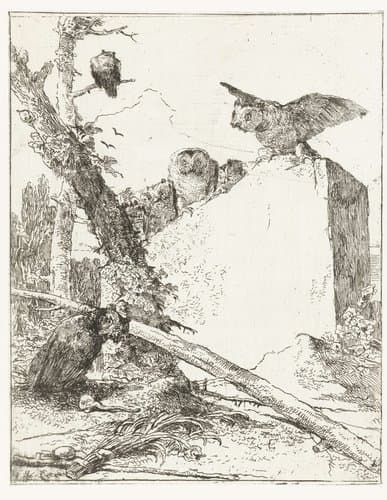 Titelprent voor Scherzi di fantasia met uilen bij een steen by Giovanni Battista Tiepolo