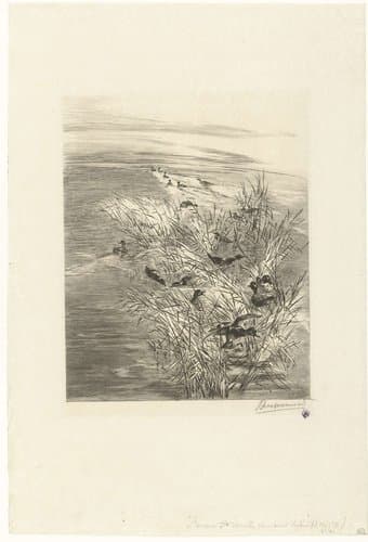 Landschap met eenden of talingen in water tussen riet by Félix Bracquemond