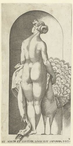 Juno en een pauw by Jacob Binck