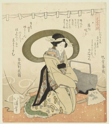Vijfluik over het bewonderen van bloemen by Totoya Hokkei