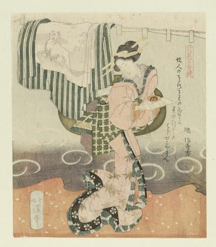 Vijfluik over het bewonderen van bloemen by Totoya Hokkei