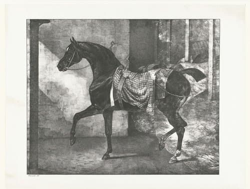 Cheval noir attaché dans une écurie by Théodore Géricault