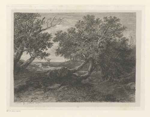 Essais de gravure a l'eau forte by Alexandre Calame