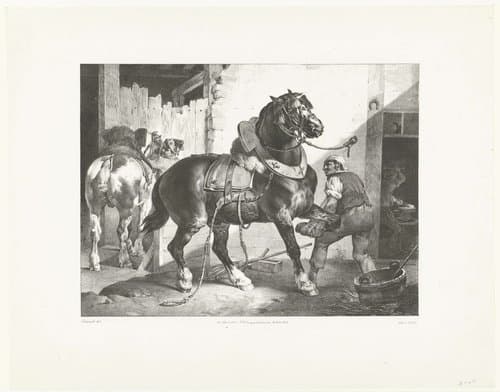Verschillende studies van paarden by Théodore Géricault