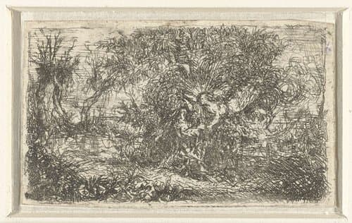 Engel en vrouw in landschap by Rodolphe Bresdin