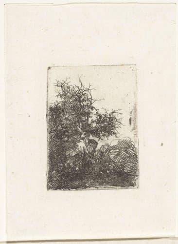 Landschap met kromme boom by Rodolphe Bresdin
