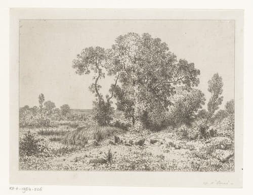 Boomgroep bij een moeras by Jean Alexis Achard