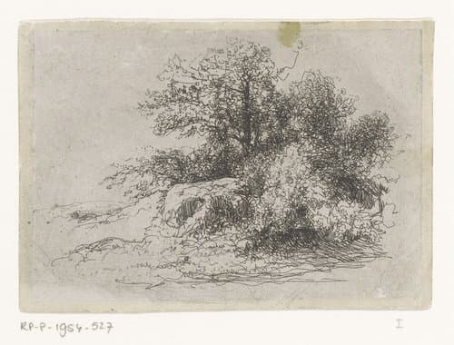 Struikgewas by Jean Alexis Achard