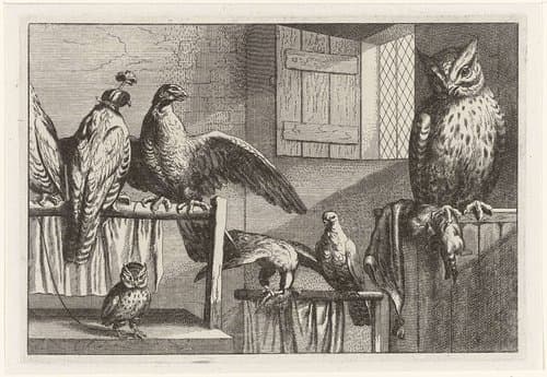 Titelblad Diversae Avium Species by Francis Barlow