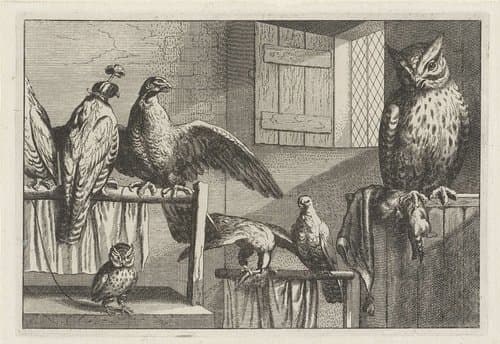 Vogels, Diversae Avium Species, 10 (20) by Wenceslaus Hollar