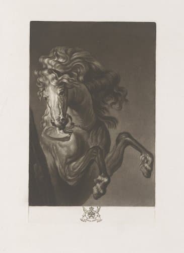 Hoofd en benen van een springend paard by Richard Earlom