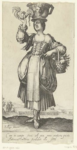 Tuinierster by Matthäus Merian (I)