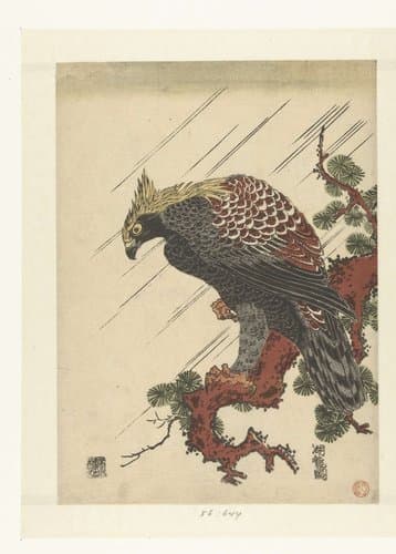 Arend op pijnboomtak in regen by Isoda Kôryûsai