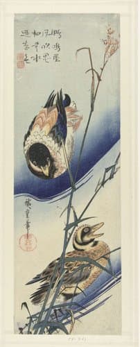 Eenden bij riet by Hiroshige (I) , Utagawa