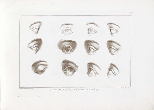 Ciprianis rudiments of drawing by Francesco Bartolozzi