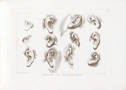 Ciprianis rudiments of drawing by Francesco Bartolozzi