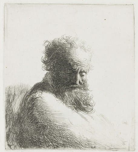Bust of an old bearded man by Rembrandt van Rijn