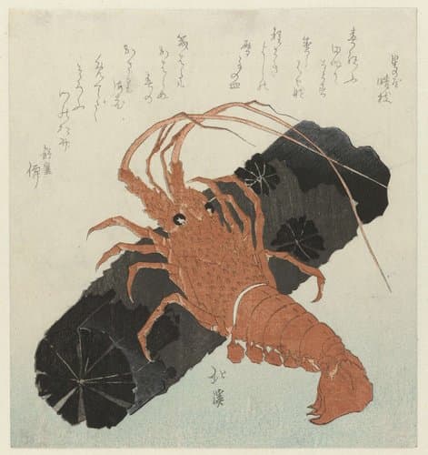 Kreeft met houtskool by Totoya Hokkei
