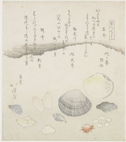 Een serie van schelpen by Totoya Hokkei