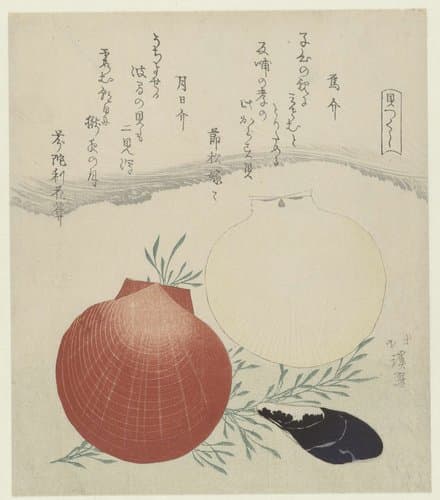 Zoetwatermossel en Japanse zon-en-maan mantelschelp by Totoya Hokkei