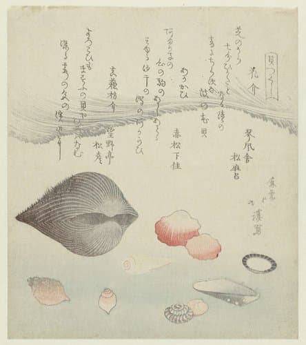 Hanagai akagai masuogai by Totoya Hokkei