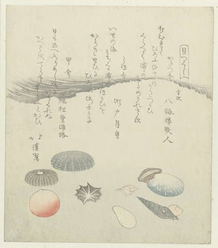 Kaitsukushi by Totoya Hokkei