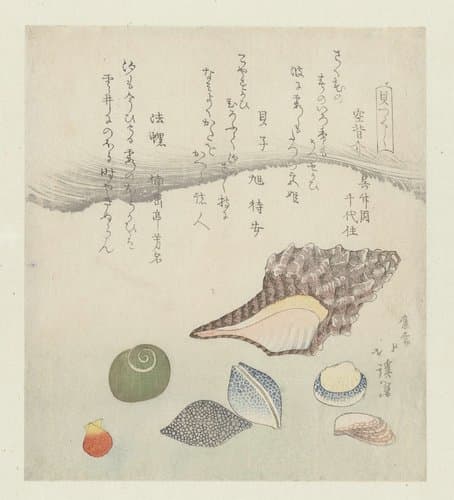 Kaitsukushi by Totoya Hokkei