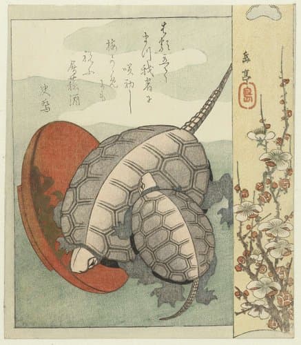 Schildpadden met sake schaaltje by Yashima Gakutei