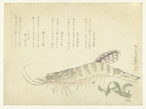 Rivierkreeft met inktvis by Ryûryûkyo Shinsai