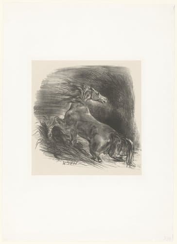 Cheval sauvage by Eugène Delacroix
