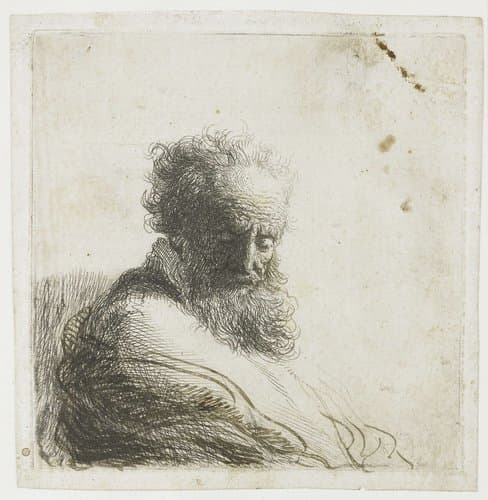 Bust of an old bearded man by Rembrandt van Rijn
