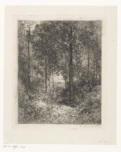 Bosgezicht by Jean Alexis Achard
