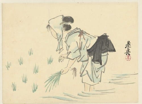 Rijstplantende vrouw by Shibata Zeshin