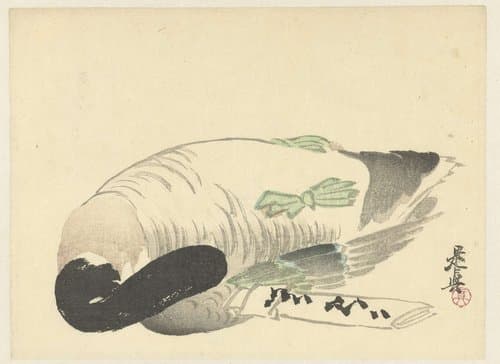 Dode eend naast gevouwen brief by Shibata Zeshin