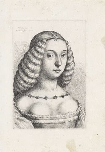 Portret van een jonge vrouw met het haar opgebonden in rollen by Wenceslaus Hollar