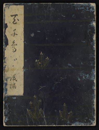 Vogels vergeleken in komische verzen by Kitagawa Utamaro