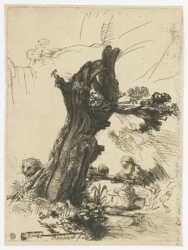 St Jerome beside a pollard willow by Rembrandt van Rijn