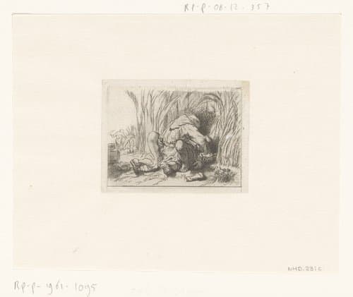 The monk in the cornfield
