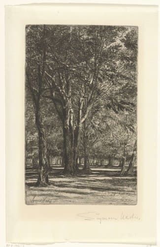 Kensington Gardens by Francis Seymour-Haden (Sir)